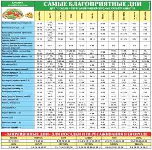 Лунный календарь садовода-огородника