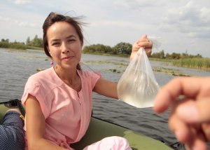 В старице реки Белой обнаружены медузы