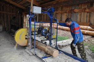 В Ишимбайском районе переработкой древесины занимаются около 60 субъектов м ...