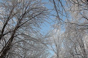 В Башкирии календарная зима начнется с морозов