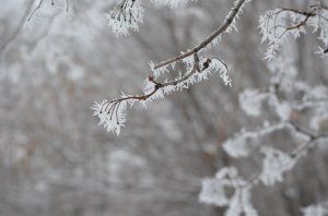 В Башкирии ожидается мороз до -40: объявлено штормовое предупреждение