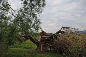 В Башкирии МЧС вновь предупреждает об ухудшении погодных условий