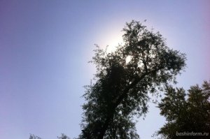 В Башкирии сохранится жаркая погода - прогноз