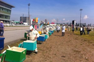 В Уфе открылся первый всероссийский конкурс «Лучший пчеловод»