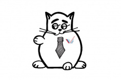 ОНФ выпускает серию памяток по ЖКХ от имени кота Харитона
