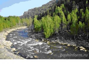 Стало известно, где в России живется чище - в экологическом рейтинге лета Башкирия на 52 месте