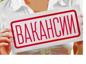 Минфин Башкирии объявил набор сотрудников в Информационно-аналитический цен ...