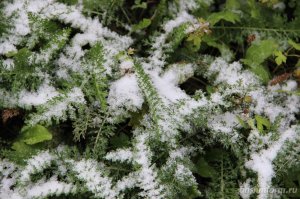 В Башкирии синоптики прогнозируют временный снежный покров