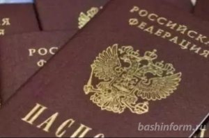 Отмену паспортов в России прокомментировали в Госдуме