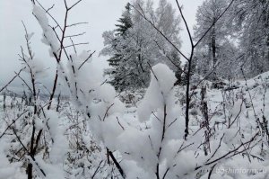 Теплый ноябрь: когда зима придет в Башкирию?