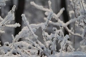 В Башкирии синоптики рассказали, какую погоду ждать во второй декаде декабря