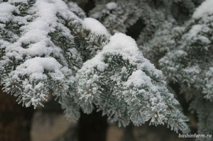 Теплые выходные, но со снегом обещают жителям Башкирии синоптики