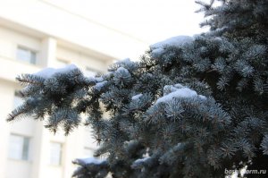 В Башкирии в выходные прогнозируются небольшой снег и сильный ветер