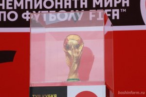 FIFA обещает увеличить для россиян число дешевых билетов на Чемпионат мира- ...