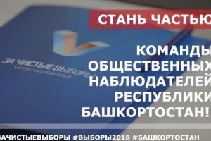 Жители Башкирии смогут стать наблюдателями на выборах-2018