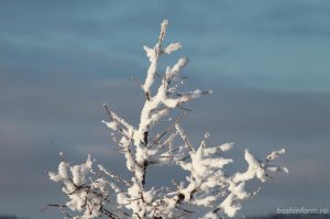Придет ли в Башкирию московский снегопад - прогнозы Башгидромета