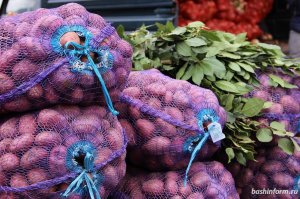 Картофель возглавил список больше всего подорожавших продуктов в Башкирии