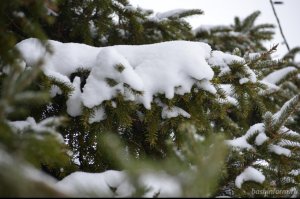 В Башкирии зима не сдается: синоптики прогнозируют мокрый снег, гололед и с ...