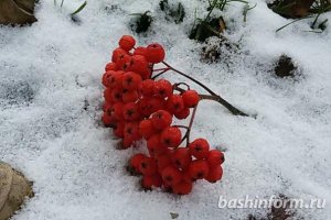 В Башкирию вернулся снежный покров. Потепление стоит ждать к выходным