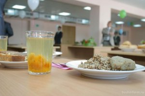 Жители Башкирии смогут пожаловаться на питание в школах и детсадах