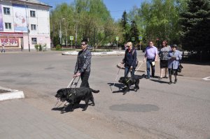 В Ишимбае члены общества слепых прошли по городу с собаками-поводырями