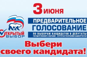 3 июня в Башкортостане пройдет предварительное голосование «Единой России»