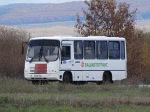 К месту проведения сабантуя-2018 в Ишимбайском районе будет организовано автобусное движение