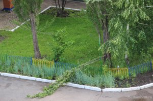 В Башкирии МЧС предупреждает о сильном ветре, заморозках и дождях