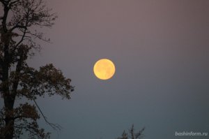 Жители Башкирии увидят полное лунное затмение