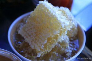 Из-за жары в Башкирии может снизиться урожай мёда