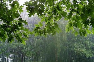 В Башкирии на этой неделе ожидаются усиление дождей и шквалистый ветер