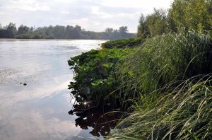 В Ишимбае на реке Тайрук обнаружили утопленника