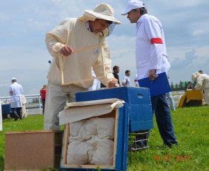 Оргкомитет Международного Конгресса по пчеловодству будет создан при участии Минсельхоза России – Рустэм Хамитов