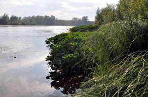 В реке Зиган утонул житель Ишимбайского района