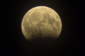 В уфимском планетарии рассказали, во сколько лучше всего будет видно полное лунное затмение