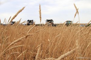 На поддержку сельского хозяйства из бюджета Башкортостана дополнительно выделят 1 млрд рублей