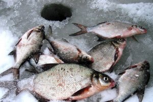 В Стерлитамакском районе Башкирии полицейские прервали рыбалку браконьера