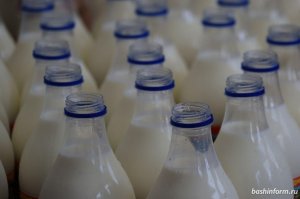 Жителей Башкирии проконсультируют по вопросам качества молочной продукции