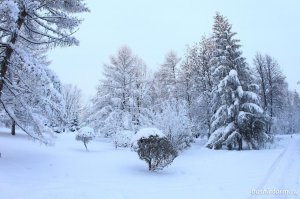 В Башкирии на этой неделе сильных снегопадов и метелей не ожидается — Башгидромет
