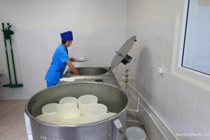 В Башкирии опрашивают родителей, нужны ли их детям молочные кухни