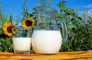 Чем опасен отказ от молочных продуктов 