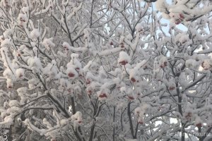 В Башкирии в ближайшие три дня будет снежно и морозно